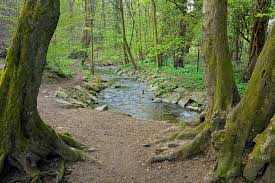 WOHNEN AM LOCHBACHTAL