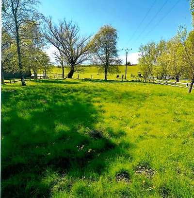 Baugrundstück 988 m² in Grevenstein /Nähe Stellshagen im Grünen mit Weitblick /Ostseenah