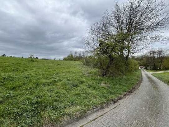 Circa 1.150 m² Grünlandgrundstück in Kalteneggolsfeld zu verkaufen