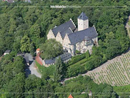 Ein Schloss mit reizvollem Potenzial - Herrschaftliches Anwesen in schönstem Weinberg-Idyll