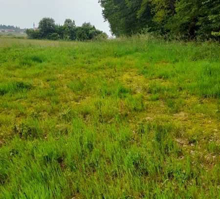 Landwirtschaftliches Grundstück / Ausgleichsfläche