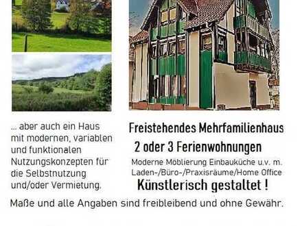Odenwald + Kapitalanlage Ferienwohnungen Mehrfamilienhaus /Maisonette-Wohnung Laden/Büro-Praxisräume
