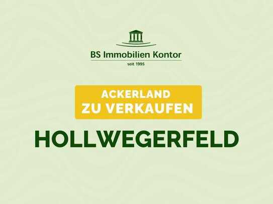 Attraktives Ackerlandgrundstück im Hollwegerfeld