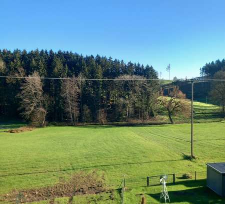 neuwertige 4 Zimmerwohnung mit Balkon in Niedertaufkirchen