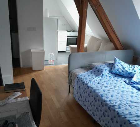 Helle 1-Zimmer DG-Wohnung in Wannsee