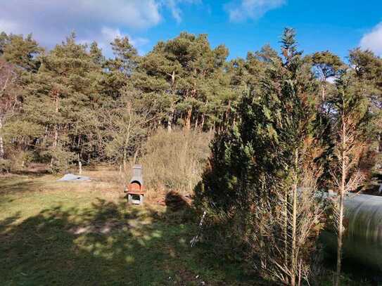 Großes und sonniges Grundstück mit Altbestand