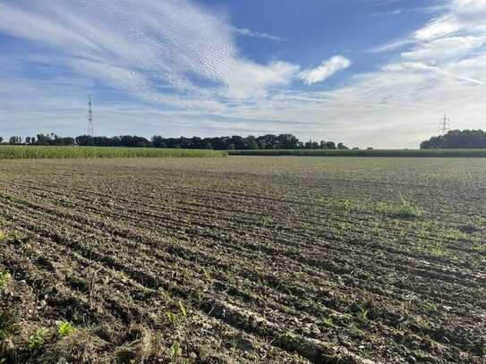 2,5 ha Ackerland in Welver