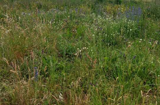 200 ha. fruchtbares Land für Landwirtschaft, Tierhaltung, Jagd o.ä. bei Berlin