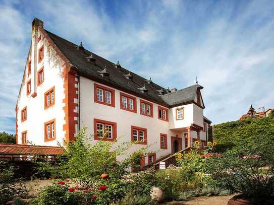 Repräsentative Gewerberäume im historischen Stadtschloss Klingenberg