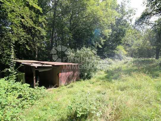 Grünes Gold! Gartengrundstück in Esslingen-Zell zu verkaufen