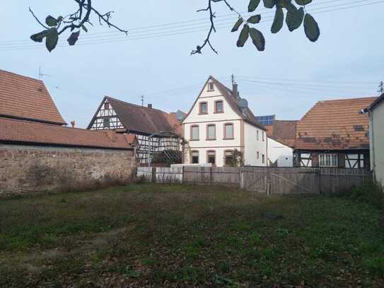 Baulücke in der Ortsmitte von Rohrbach, sonnige Lage in der Hintergasse