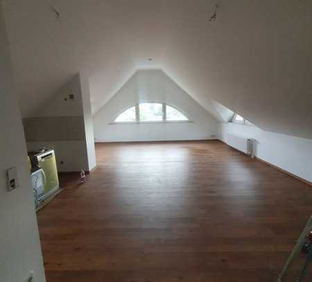 1-Zimmer Apartment ERSTBEZUG nach Sanierung