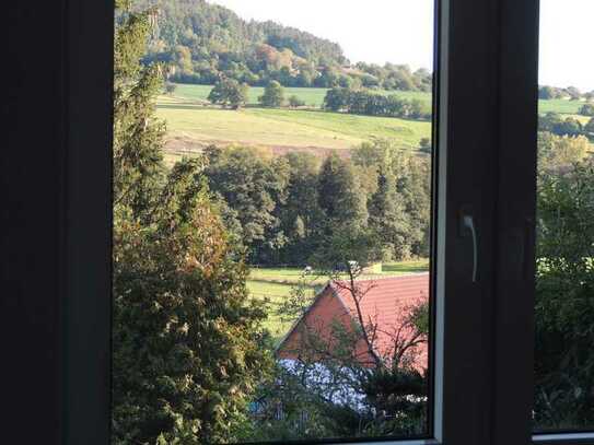 Helle, neu renovierte 2-Zimmer-Wohnung mit großer Südterrasse und Garten in Kleinkahl-Großlaudenbach