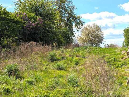 Baulücke in Hessisch - Oldendorf Welsede