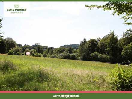 Freizeitgrundstück beim Bergdorf mit Ausblick und Größe