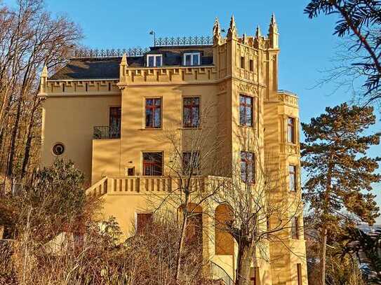 Prächtige Beletage in außergewöhnlicher sanierter Villa am Stadtwald mit Blick über die Stadt Gera