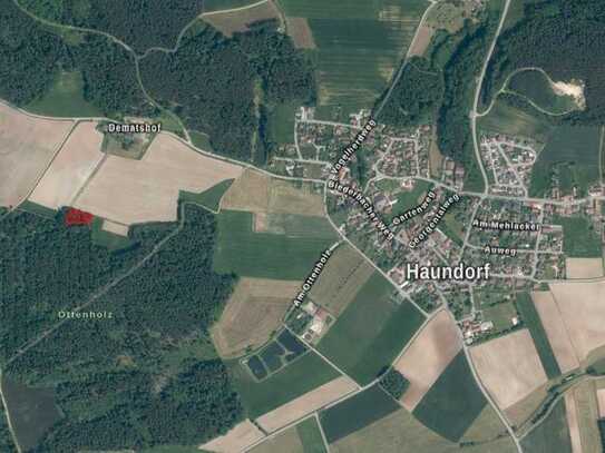 Waldgrundstück Gemarkung Haundorf