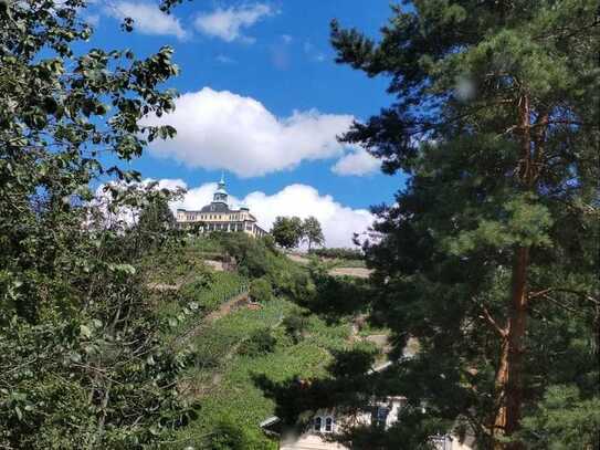 Wunderschöne Villa mit großem Garten und traumhaftem Ausblick in Radebeul-Oberlößnitz