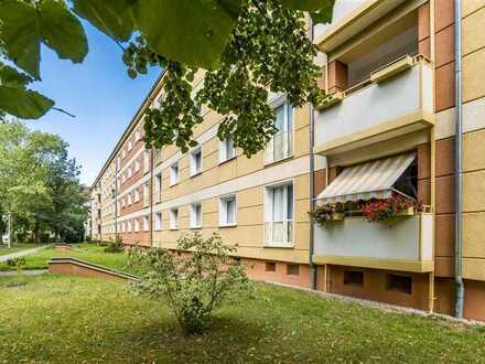 Frisch renovierte 2-Raumwohnung in Zentrumsnähe