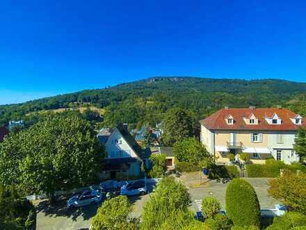 Diesen Ausblick könnten Sie in dieser facettenreichen Penthousewohnung am Annaberg genießen