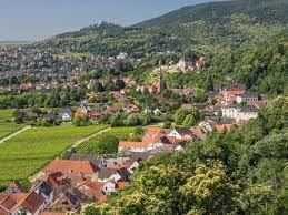 Wohnen zwischen Weinbergen und Pfälzerwald