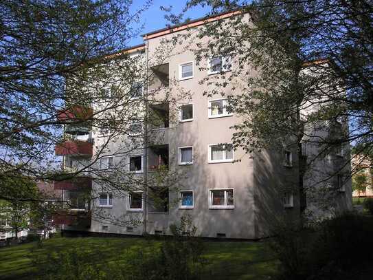 * 4-Zimmerwohnung im grünen Kassel *