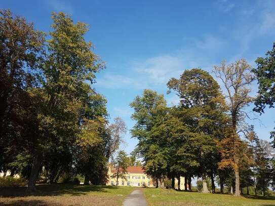 Wohnen in der Wohnanlage Schloss Petzow am Schwielowsee im Reihenhaus