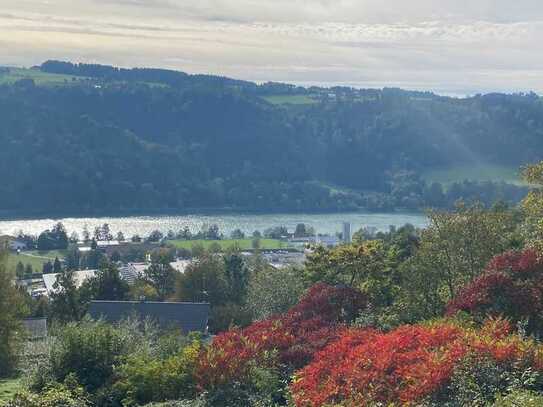 180°-Blick übers Donautal Obernzell: 1.252 m² Baugrund - Hanglage