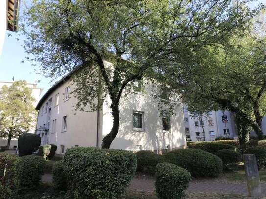 4-Zimmer-Erdgeschoss-Wohnung im beliebten Woogsviertel