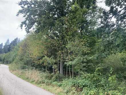 4.354 m² Jungwald nähe Ascha bei Straubing