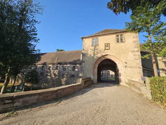 Sanierte, freie 2-Zi-DG-Whg (2.OG) in B.-Baden, Schlossberg, Denkmalschutz, Tageslichtbad - Garage