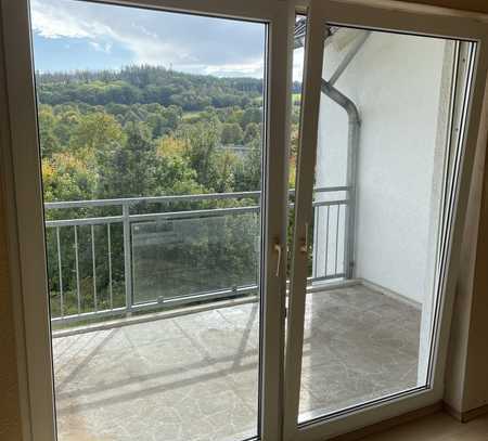 Attraktive und gepflegte 2-Zimmer-Wohnung mit Balkon in Selters (Taunus)