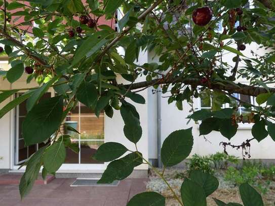 Stilvolle, sonnige 3-Zi-Erdgeschosswohnung mit einer großen Terrasse, EBK in Salzgitter