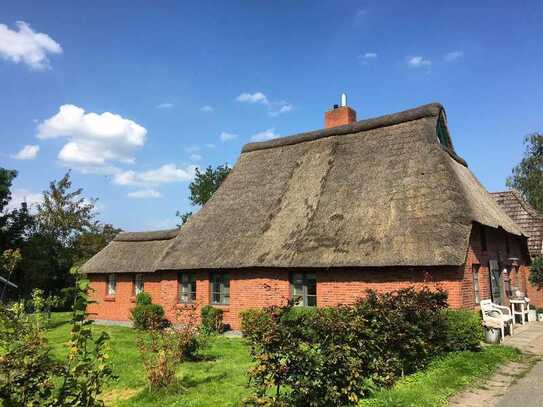 Charmantes Reetdach-Haus in Nordermeldorf bei Büsum