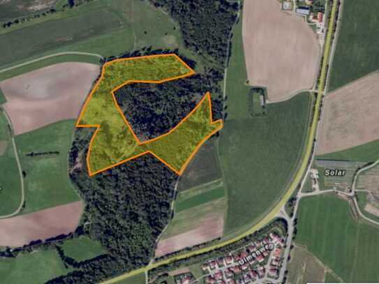 Attraktive Forstfläche mit wertvollem Baumbestand