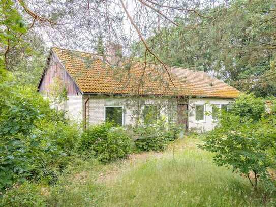 Bungalow auf großem Grundstück in Winsen OT