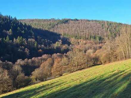 Voll erschlossenes & teilbares Baugrundstück in Eberbach - Friedrichsdorf !