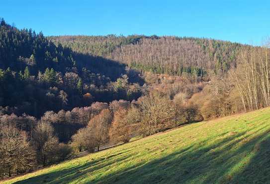 Voll erschlossenes & teilbares Baugrundstück in Eberbach - Friedrichsdorf !