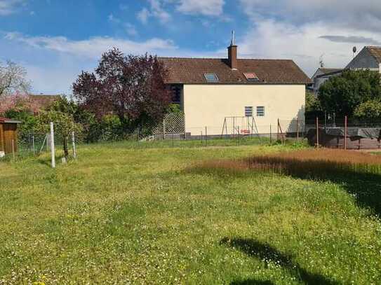 TOP Preis - DHH mit potenziellem Bauplatz.