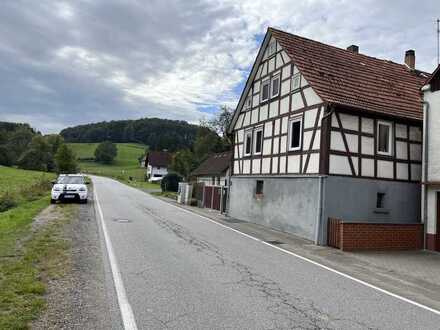 Ansprechendes Bauernhaus mit fünf Zimmern, großer Garage, Scheune und 5500 m2 Land.