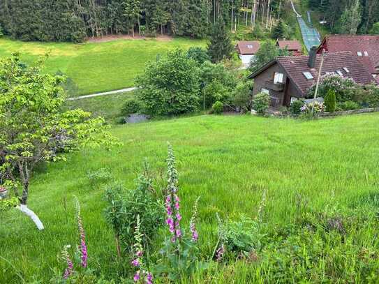 Baugrundstück in Baiersbronn