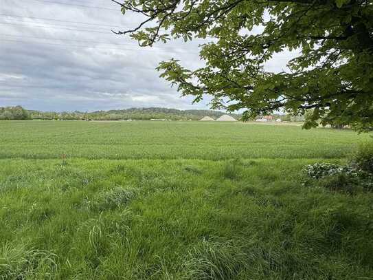 Landwirtschaftliche Flächen in Landshut/Münchnerau