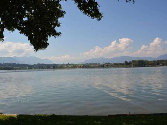 Atmosphärische Wohnung - mit hauseigenem BADEPLATZ direkt am RIEGSEE