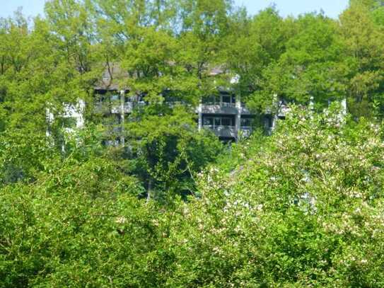 2 Zimmer, Kochnische, Dusch-Bad, Loggia...IDEAL für Wochendpendler