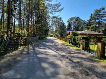 Großzügiges Baugrundstück in Beelitz-Fichtenwalde