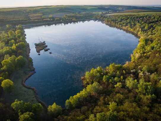 Unberührtes Naturwunder in Ungarn-Privater Badesee mit Wald, Wiese und bebaubarem Grundstück-112 Hek