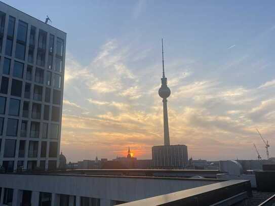 schöne Wohnung in zentraler Lage Berlin Mitte mit Dachterrassennutzung