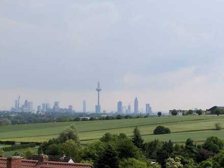 Großzügige Doppelhaushälfte mit luxuriöse Ausstattung und Skyline Blick