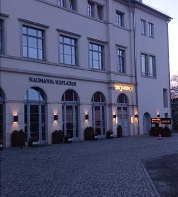 Wunderschöne große 3-Raum Wohnung in Dresden-Loschwitz