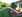 Gartengrundstück mit Fereinhaus mit LUXUS BUNGALOW voll möbeliert